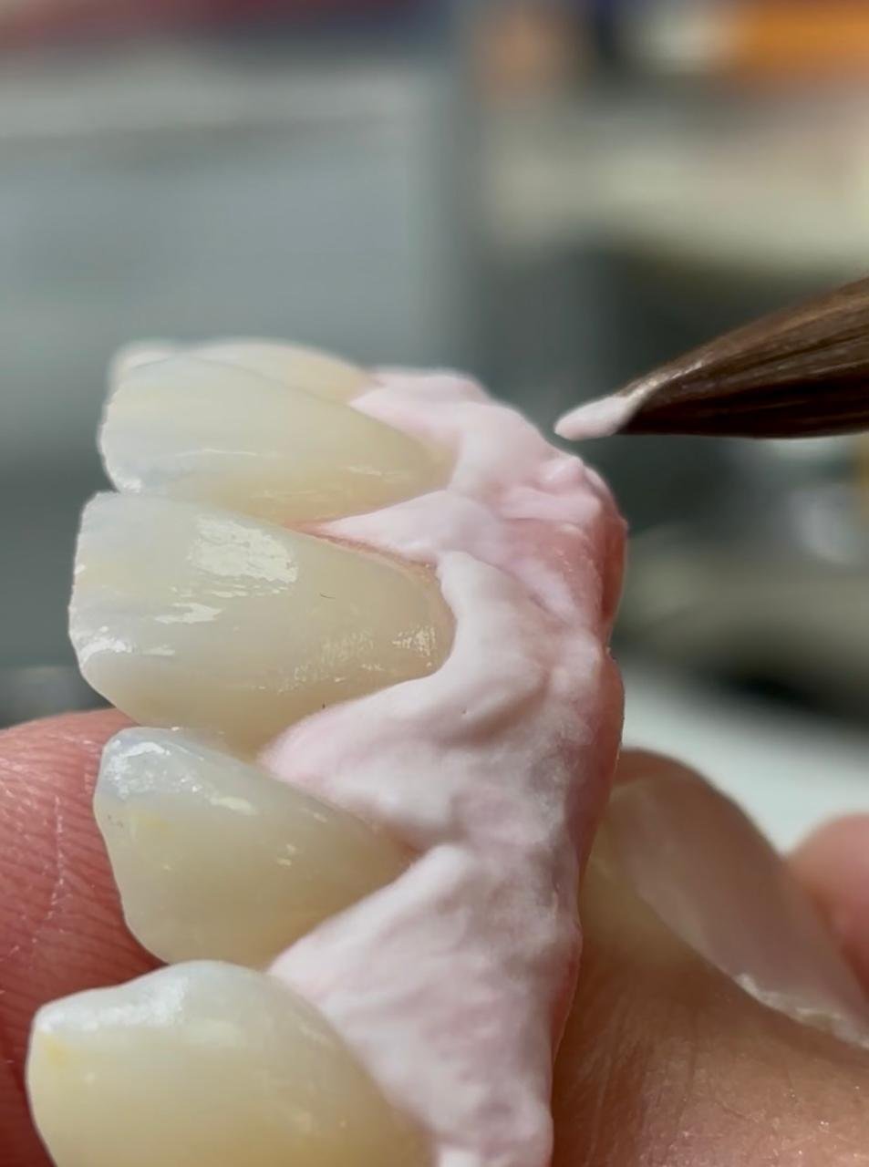 WhatsApp Image 2026 02 13 at 14.18.42